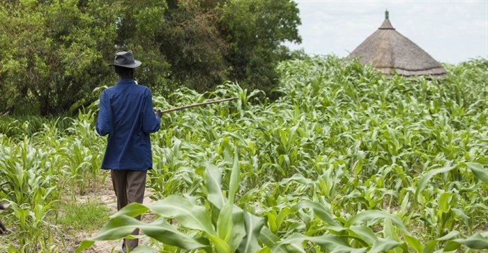 What does the future hold for Africa's farmers?