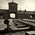 Poland puts Auschwitz staff database online
