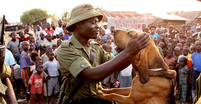 Tours to the Congo Hounds community as part of the anti-poaching unit of Virunga National Park