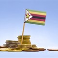 Zimbabwe slaps VAT on basic foodstuffs