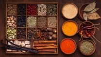 Deli Spices gets international expertise through French partnership
