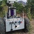 Vineyard robot prototype