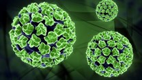 Vaccine 90-100% effective against HPV