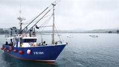 Are we being tough enough on illegal fishing?