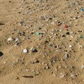 Plastic fibres are causing major harm to South Africa's marine life