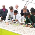 New aquaponics facilities to feed primary schools