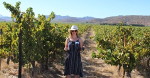 Three reasons to discover the Robertson Wine Valley