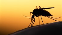Burundi declares malaria epidemic