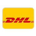 DHL Express launches entrepreneurial training program