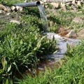 Ghazi Al Jabri via  - Use of treated wastewater for agriculture in Jordan