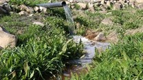 Ghazi Al Jabri via  - Use of treated wastewater for agriculture in Jordan