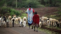 Collective land tenure is under threat in Kenya. Why it needs to be protected