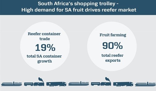 South African reefer market soars due to high fruit demand