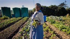 Policy implementation failing SA citizens in guaranteeing access to food