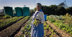 Policy implementation failing SA citizens in guaranteeing access to food