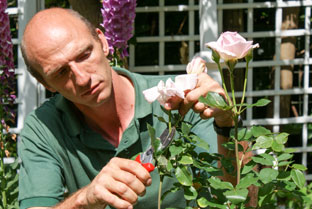 Inspire the gardener within: Plant hanging baskets and veggie containers, or make a bird feeder with Garden World’s JJ van Rensburg at the Rand Show 2017 from 14 to 23 April 2017, at Nasrec.