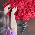 SA Florist improves supply chain efficiency with BrandChat bot