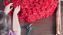 SA Florist improves supply chain efficiency with BrandChat bot