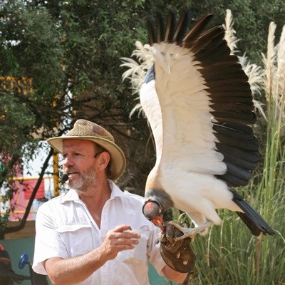 Conservationist Bryan Vorster will introduce Rand Show visitors to a host of feathered creatures, including this beautiful exotic king vulture. Cape vultures, Harris hawks, owls, and more will join in for a daily display of aerial acrobatics and tricks that will delight audiences. 14-23 April, at the Rand Show, Nasrec.