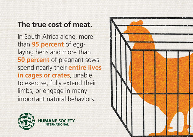 #GreenMondaySA: Eat less meat, save the world