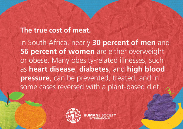 #GreenMondaySA: Eat less meat, save the world