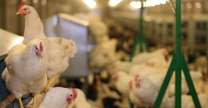 Private-public sector efforts to find solutions for poultry industry woes welcomed