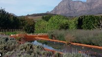 Five of the best vineyards in the Western Cape