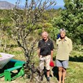 Tru-Cape's Buks Nel and Henk Griessel with the ancient apple tree on Table Mountain