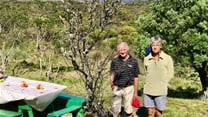 Tru-Cape's Buks Nel and Henk Griessel with the ancient apple tree on Table Mountain