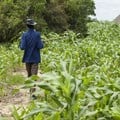 Invest in agriculture, Africa urged