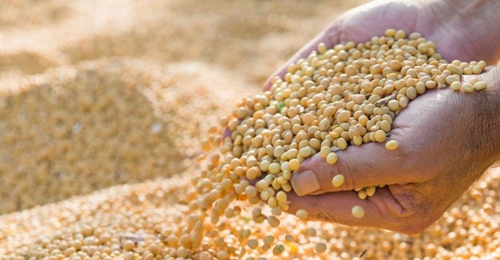 JSE launches Soya Bean Crush futures contract