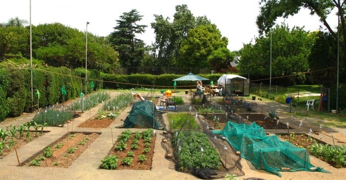 #UrbanAgri: Let It Grow Foundation helps communities grow their own urban farms