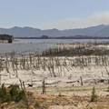 Cape Town drought crisis reaching critical point