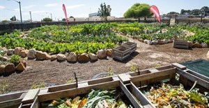 Shoprite opens doors to community gardens for World Hunger Day