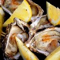 Four reasons to experience the Pick n Pay Knysna Oyster Festival