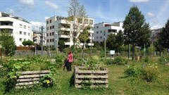Providing green space can deliver health, social and environmental benefits for all urban residents – few other public health interventions can achieve all of this. Anne Cleary, author provided.