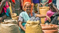 Harnessing informal trade can boost African livelihoods