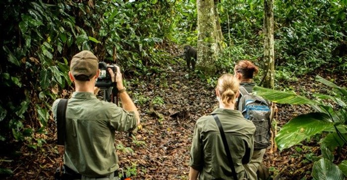 Four alternatives to gorilla trekking in Rwanda