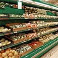 Global food prices climb in May: FAO