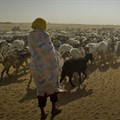 Chad is the country most vulnerable to climate change - here's why