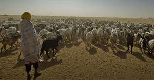 Chad is the country most vulnerable to climate change - here's why
