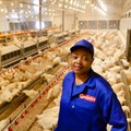 Mpho Nemukula, poultry farm manager, Sovereign Foods