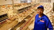 Mpho Nemukula, poultry farm manager, Sovereign Foods