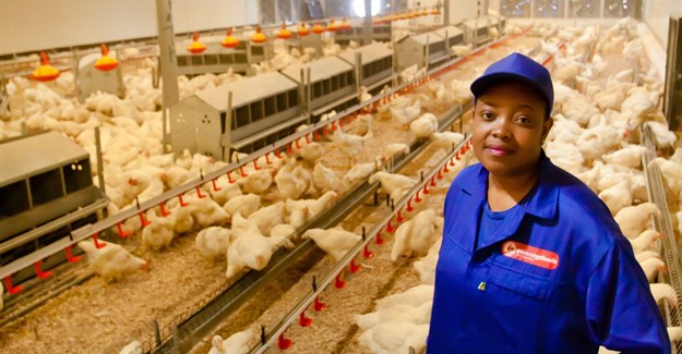 Management jobs in the poultry industry