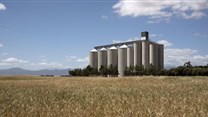 Silos ready for record maize harvest