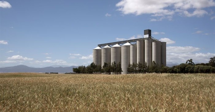 Silos ready for record maize harvest
