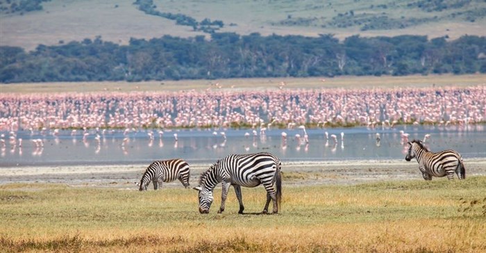 Ngorongoro: A sparkling tourism jewel