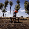 Kate HoltAusAID via WC_farming_climate_change_Kenya
