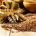 Food commodity prices to remain low over next decade - OECD, FAO