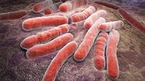 Study: Mutant protein affects TB treatment time